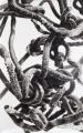 Peter Hock: Knoten, 2019, Reißkohle auf Papier, 240 x 150 cm

